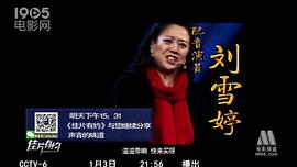 刘雪婷