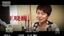 王晓巍