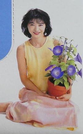 田中美佐子