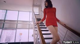 莱纳·安德森