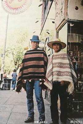 陈凯歌