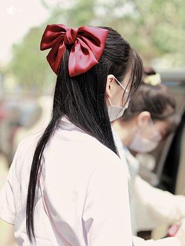 朱苓