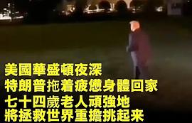 唐纳德·特朗普