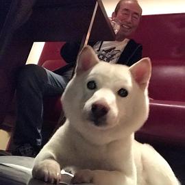 志村健