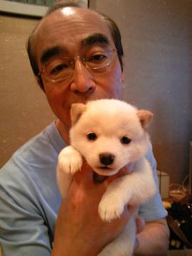 志村健