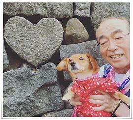 志村健