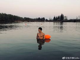 张开泰