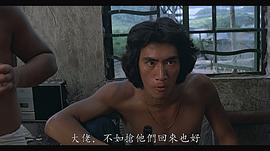 洪新南