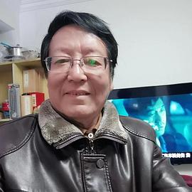 高笑鸥