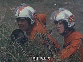 桂木美加