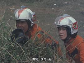 桂木美加