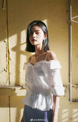 孙美林