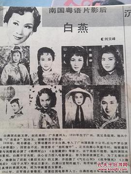 白燕