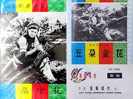 杨丽坤