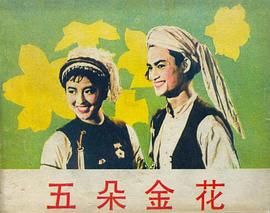 杨丽坤