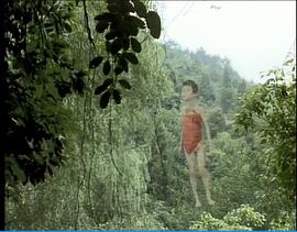 王玮