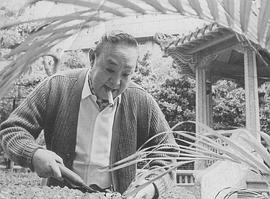 梁醒波