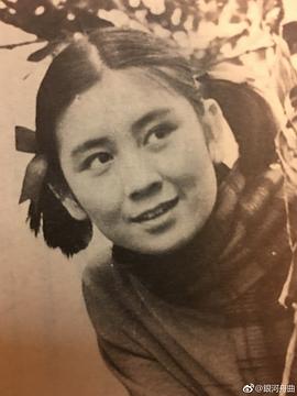 鲍起静