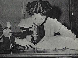 紫罗莲
