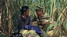 午马
