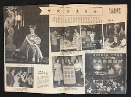 白茵