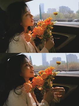 徐樱洛