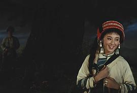 杨丽坤