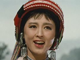 杨丽坤