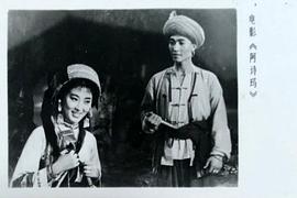 杨丽坤