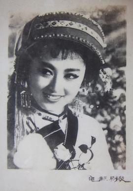 杨丽坤