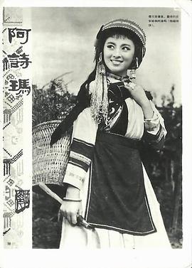 杨丽坤