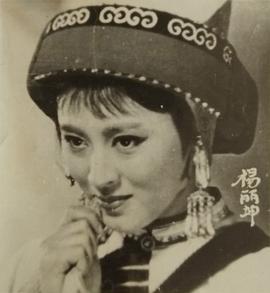 杨丽坤