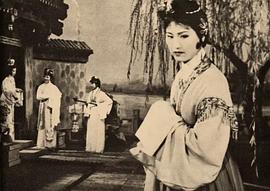王文娟