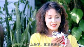 宫本洋子