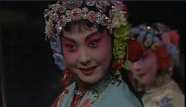 沈健瑾