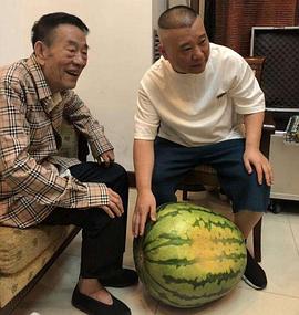 杨少华