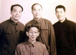 杨少华