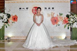张家宁