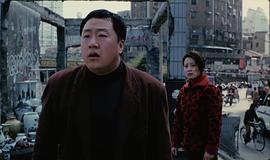 杨晓雯