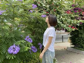 秋月三佳