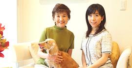 松下惠