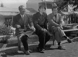 志村乔