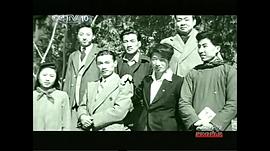 石挥