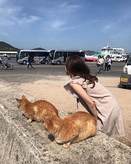 池慧媛