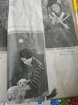 黎灼灼