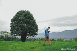 木子洋