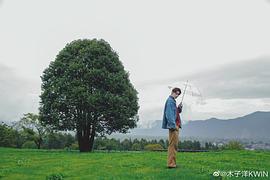 木子洋