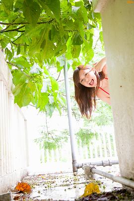 虎南有香