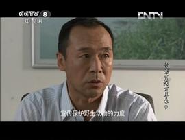白建才