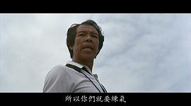 沙鸥